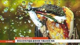 한국사진작가협 춘천지부 기획사진전 개최