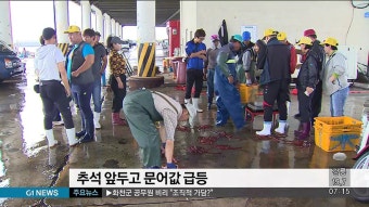 추석 앞두고 문어값 급등