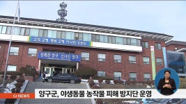 양구군, 야생동물 농작물 피해방지단 운영