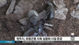 원주시 유용곤충 사육 실용화 시설 준공