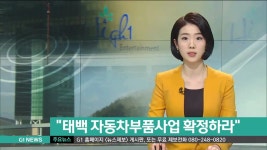 태백 자동차부품사업 확정하라