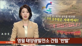 영월 태양광발전소 건립 반발