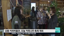 강릉 커피박물관, 오늘 커피나무 축제 개최