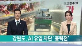 강원도, AI 유입 차단 총력전