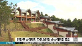 양양군, 송이밸리 자연휴양림 숲속야영장 조성
