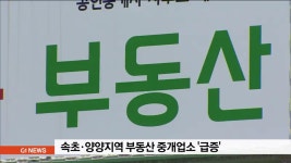속초.양양지역 부동산 중개업소 급증