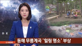 동해 무릉계곡 힐링 명소 부상