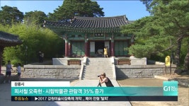 피서철 오죽헌·시립박물관 관람객 35% 증가