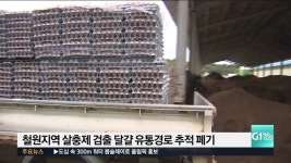 철원지역 살충제 검출 달걀 유통경로 추적 폐기