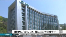 강원랜드,2017 DJSI 월드 지표 인증패 수상