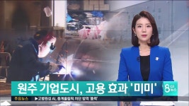 원주 기업도시, 고용 효과 미미