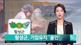 횡성군, 기업유치 올인