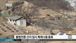 불법전용 산지 임시 특례 6월 종료