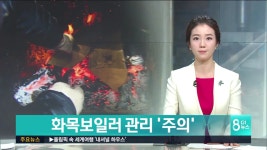 화목보일러, 관리 절실