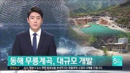 동해 무릉계곡, 대규모 개발