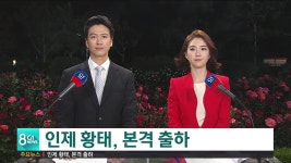 인제 황태, 본격 출하