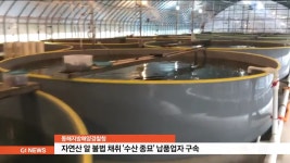 자연산 알 불법 채취 수산 종묘 납품업자 구속