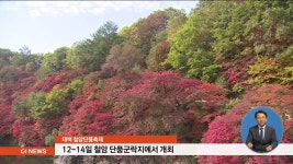 제9회 태백 철암단풍축제, 오는 12일 개막