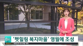 펫힐링 복지마을 전국 첫 조성