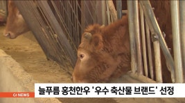 늘푸름 홍천한우 우수 축산물 브랜드 선정