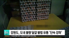 <속보> 강원도, 불량달걀 불법 유통 단속 강화