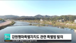 강원평화특별자치도 법제화 물꼬