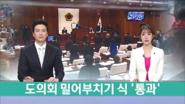 갈등속 억지 통과..비난