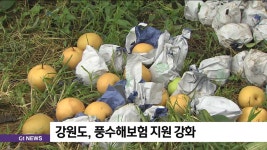 강원도, 재산피해 최소화..풍수해보험 활성화