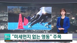 영동지역 미세먼지 없어요