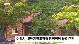 태백시, 고원자연휴양림 안전진단 용역 추진