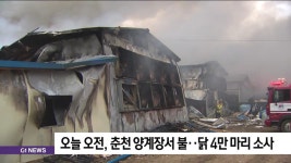 춘천 양계장에서 불..닭 4만 마리 소사