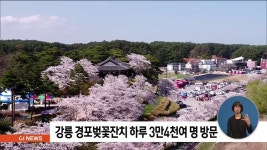 강릉 경포벚꽃잔치 하루 3만4천여명 방문
