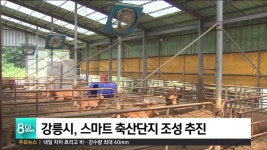 강릉시, 스마트 축산단지 조성 추진