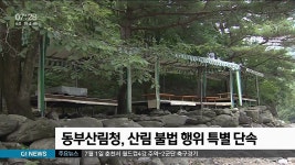 동부산림청, 산림 불법 행위 특별 단속