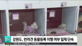 2019 원주치악국제걷기축제, 다음달 12~13일 개최