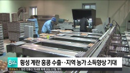 횡성 계란 홍콩 수출 지역 양계 농가 소득 증진
