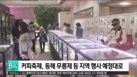 커피축제, 동해 무릉제 등 지역 행사 예정대로 진행