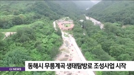동해시 무릉계곡 생태탐방로 조성사업 시작