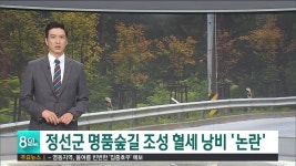 애물단지 된 정선 명품 가로숲길