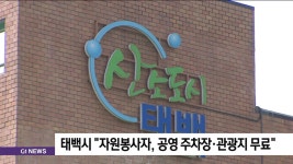 태백시 자원봉사자, 공영 주차장·관광지 무료