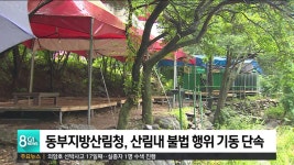 동부지방산림청, 산림내 불법 행위 기동단속