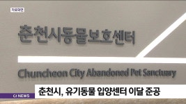 춘천시, 유기동물 입양센터 이달 준공