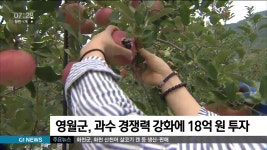영월군, 과수 경쟁력 강화에 18억원 투자