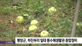 평창군, 하진부리 일대 풍수해생활권 종합정비