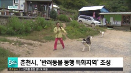 춘천시, 남면.남산면 반려동물 동행 특화지역 조성