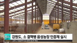 강원도, 소 결핵병 음성농장 인증제 실시