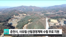 춘천시, 사유림 산림경영계획 수립 무료 지원
