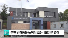 춘천 반려동물 놀이터 오는 10일 문 열어