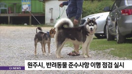 원주시, 반려동물 준수사항 이행 점검 실시