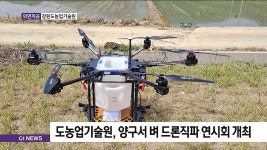 도농업기술원, 양구서 벼 드론직파 연시회 개최